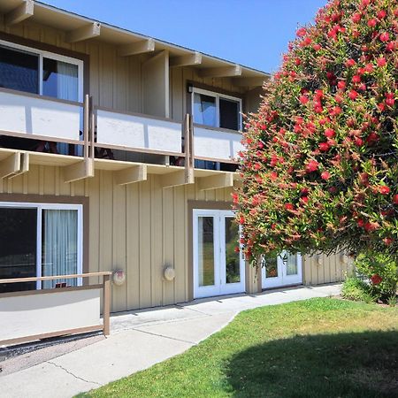Silver Surf Motel San Simeon Ngoại thất bức ảnh